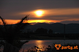 Bild 535