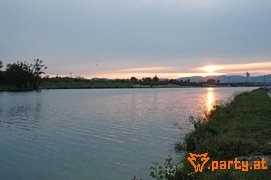 Bild 539