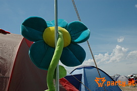 Bild 114