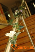 Bild 48