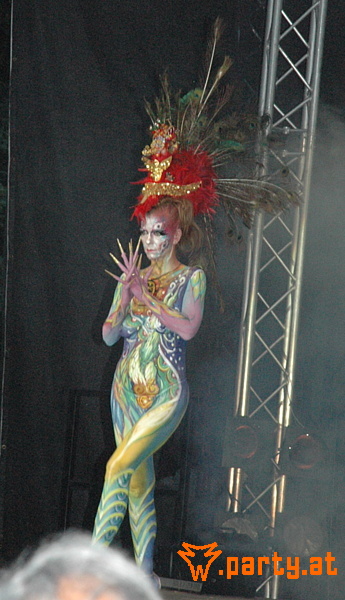 Bild 91