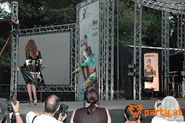 Bild 47