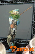 Bild 62