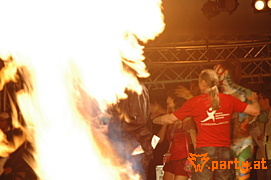Bild 202