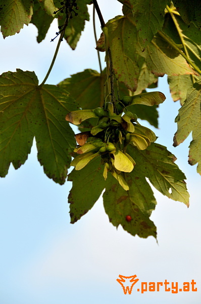 Bild 16