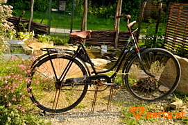 Bild 22