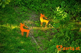 Bild 43