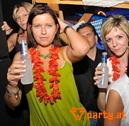 Bild 277