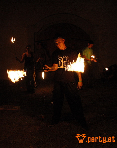 Bild 246