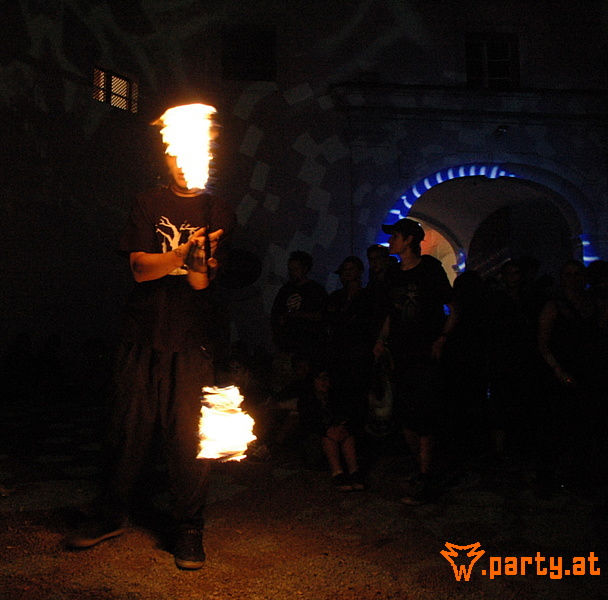 Bild 249