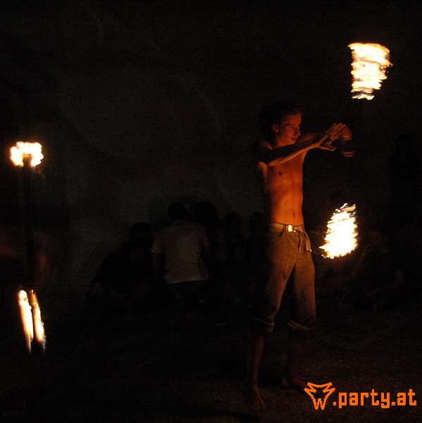 Bild 262