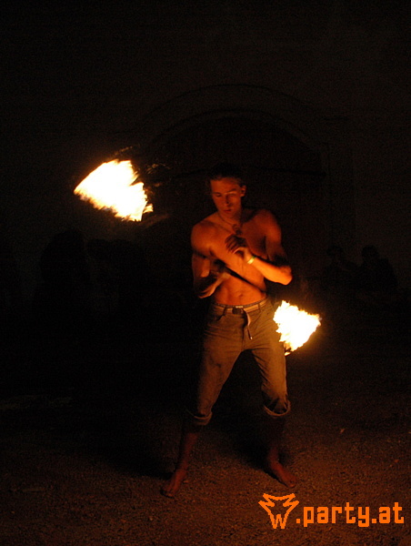 Bild 274