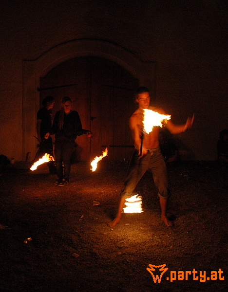 Bild 275