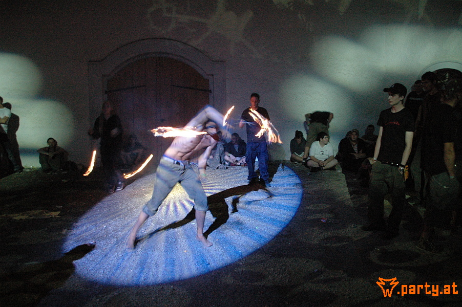 Bild 291