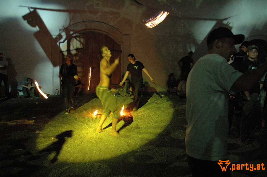 Bild 294