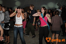 Bild 64