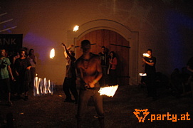 Bild 218