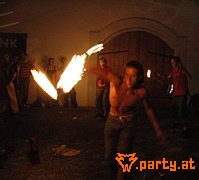 Bild 231