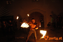 Bild 241