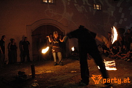 Bild 251