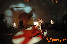 Bild 278