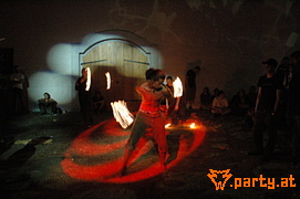 Bild 282