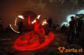 Bild 286