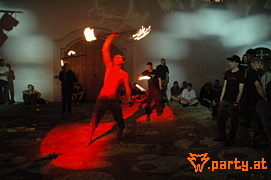 Bild 287