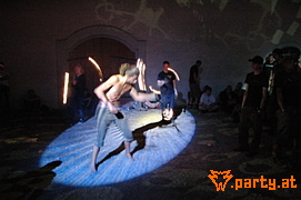 Bild 290