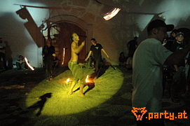 Bild 294
