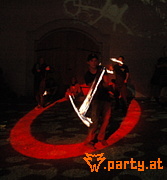 Bild 295