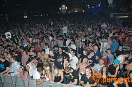 Bild 81