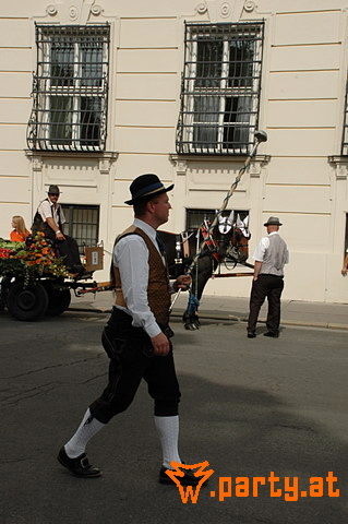 Bild 78