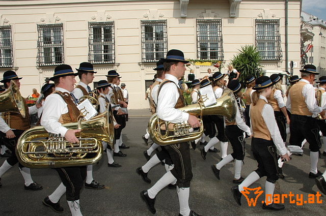 Bild 81