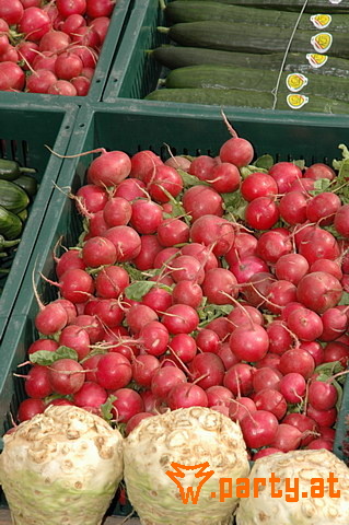 Bild 92