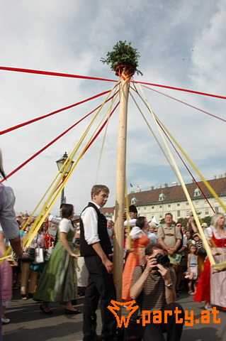 Bild 132