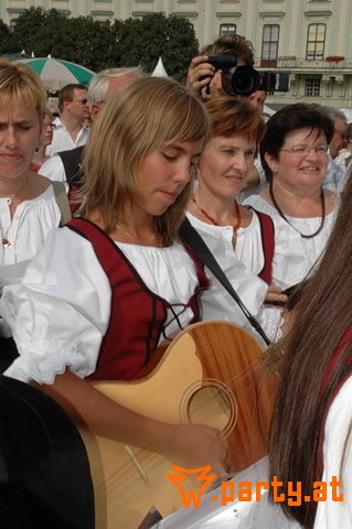 Bild 146