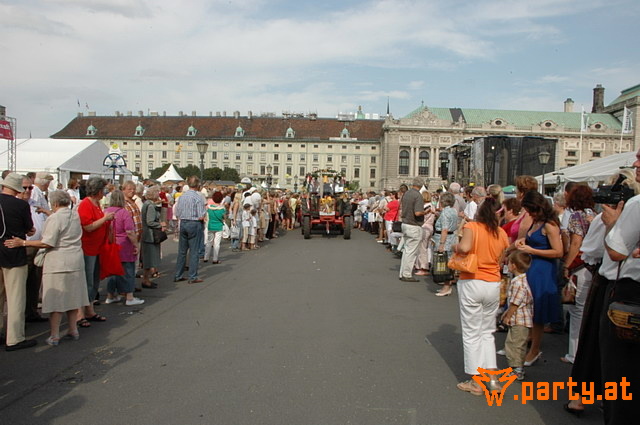 Bild 230