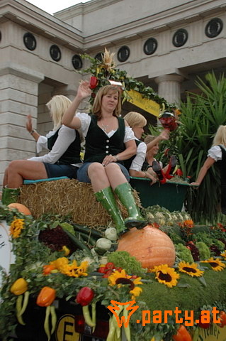 Bild 242