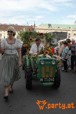 Bild 244