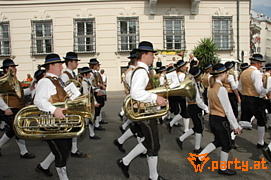 Bild 81