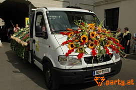 Bild 82