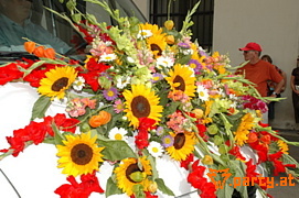 Bild 83
