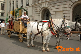 Bild 87