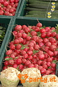 Bild 92