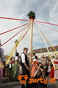 Bild 132