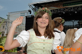 Bild 172