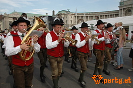 Bild 252