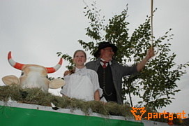 Bild 271