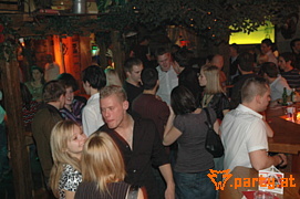 Bild 37